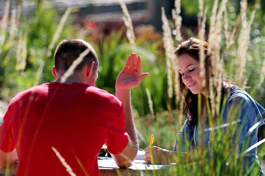 Two students study outside.