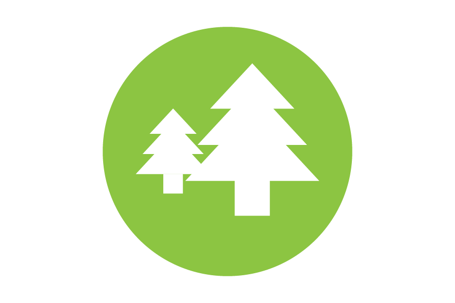 Icon of white trees on a green background.