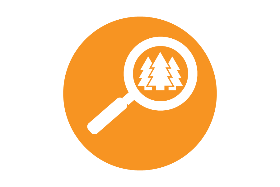 Icon of a magnifying glass with trees on an orange background.